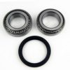 FISPA 460193 Wheel Bearing Kit